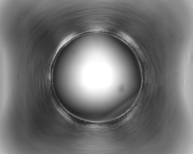 X0000086911234200704301030