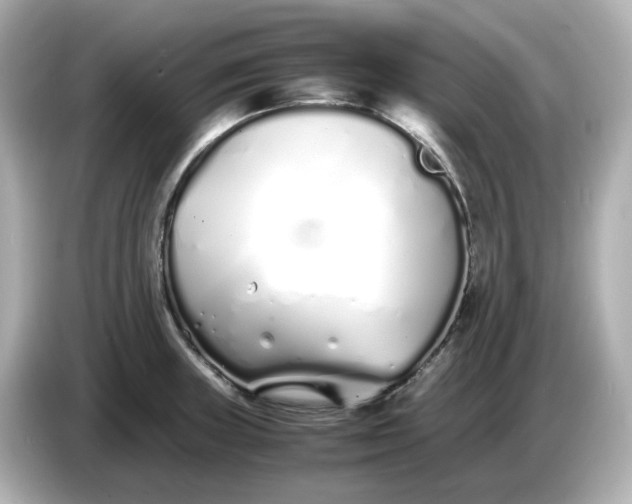 X0000086911235200704301030