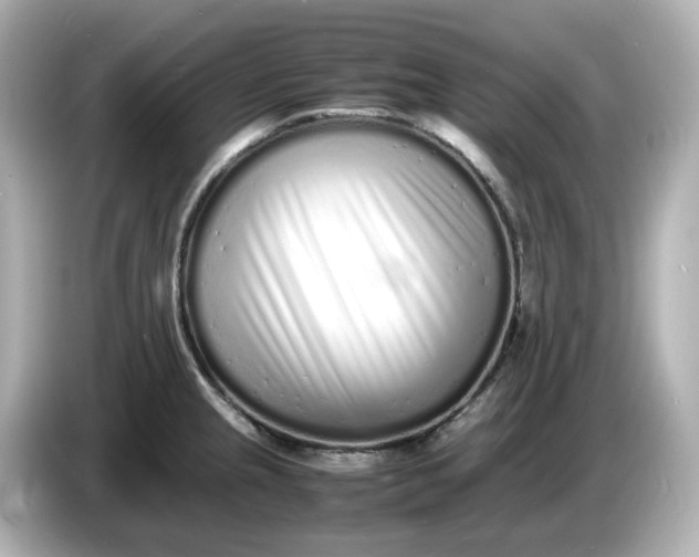 X0000086911237200704301030