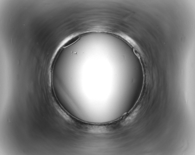 X0000086911238200704301030