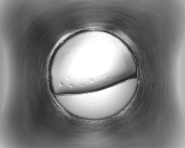 X0000086911240200704301030