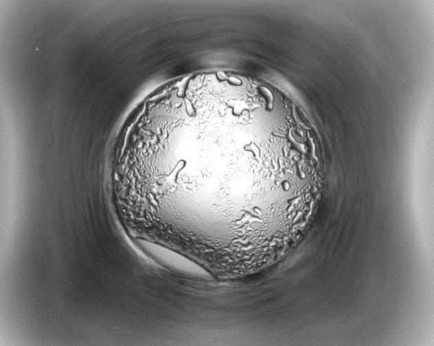 X0000086911243200704301031