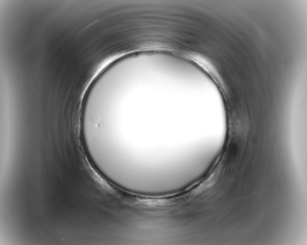 X0000086911244200704301031