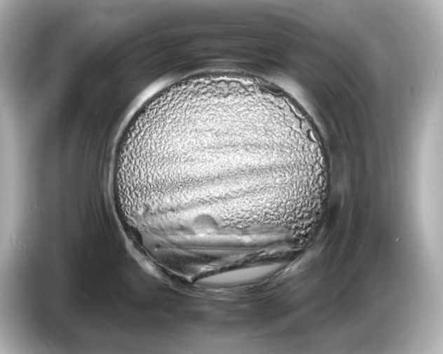 X0000086911245200704301031