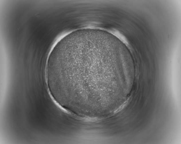 X0000086911247200704301031