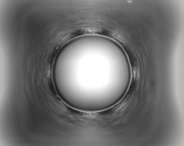 X0000086911251200704301030