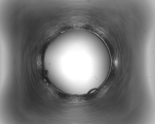 X0000086911252200704301030