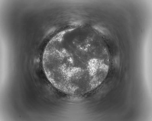 X0000086911254200704301030