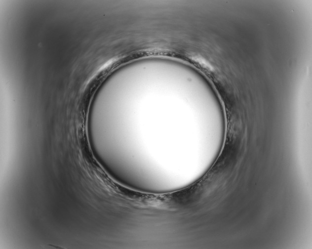 X0000086911255200704301030