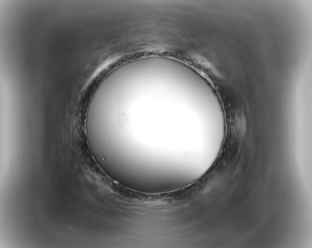 X0000086911256200704301030