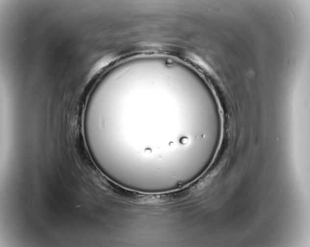 X0000086911259200704301030