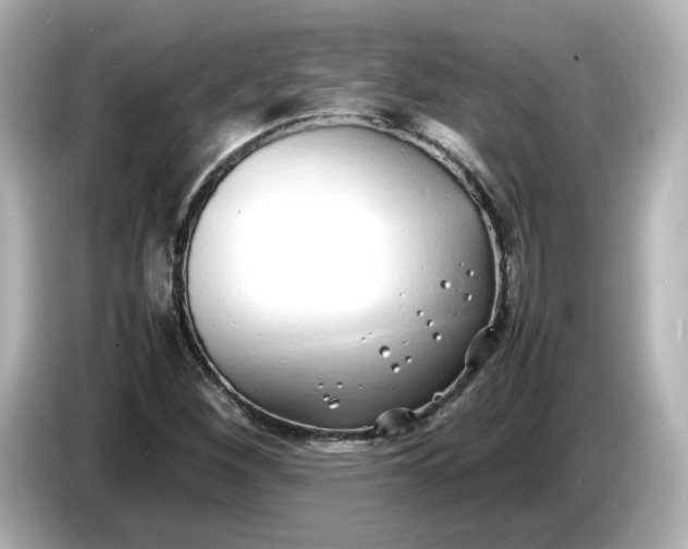 X0000086911260200704301030