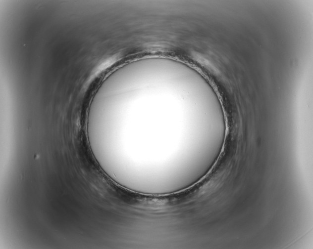 X0000086911261200704301030