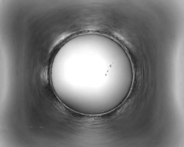 X0000086911262200704301030