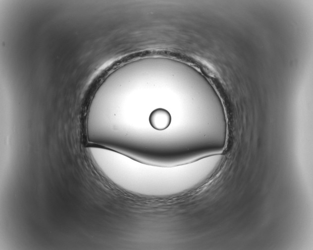 X0000086911263200704301030