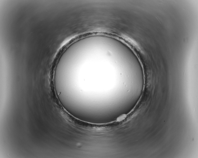 X0000086911264200704301030