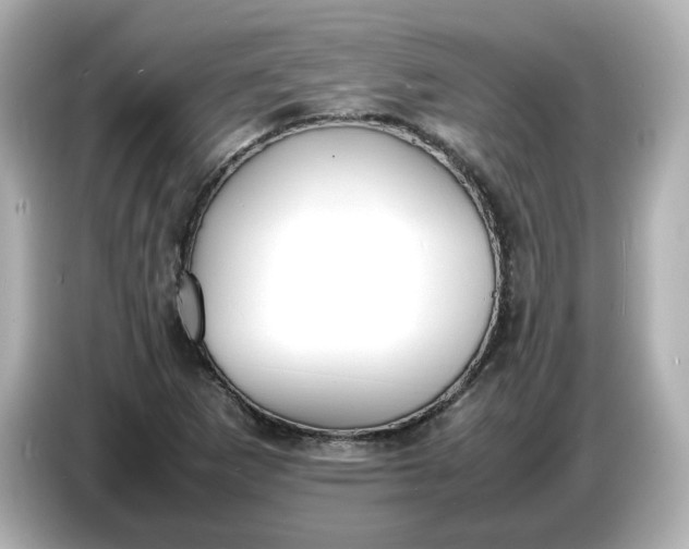 X0000086911265200704301030