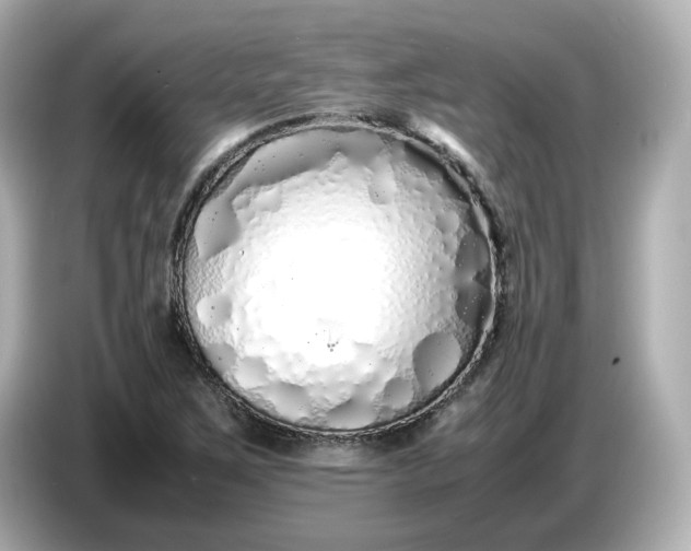 X0000086911267200704301030