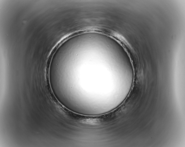 X0000086911268200704301030