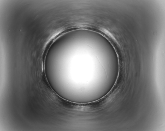 X0000086911269200704301030