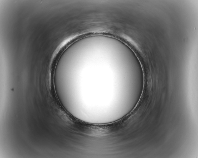 X0000086911270200704301030