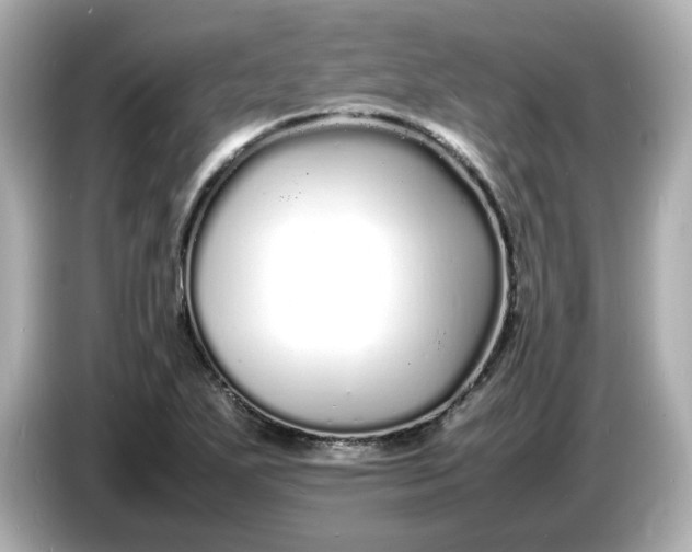 X0000086911271200704301030