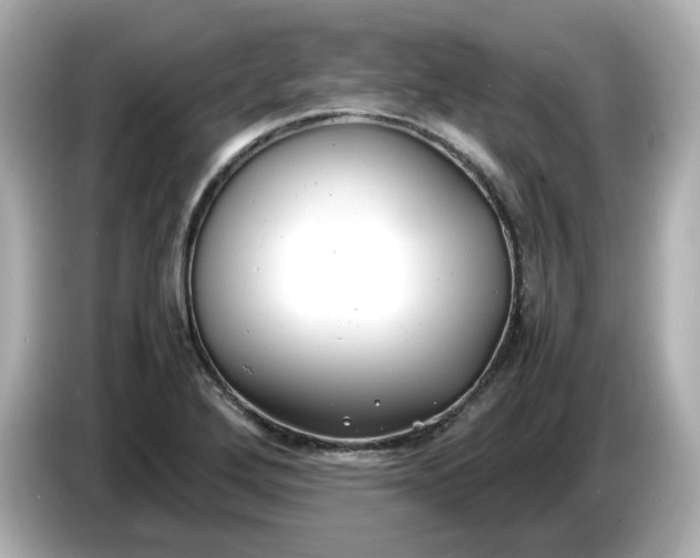 X0000086911272200704301030