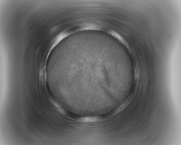 X0000086911274200704301030