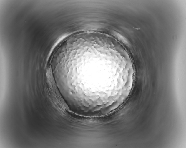 X0000086911275200704301030