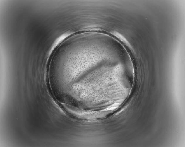 X0000086911277200704301030