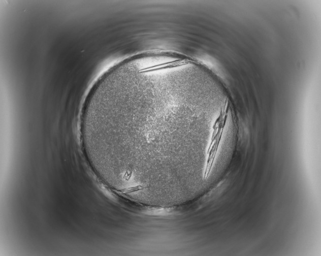 X0000086911278200704301030