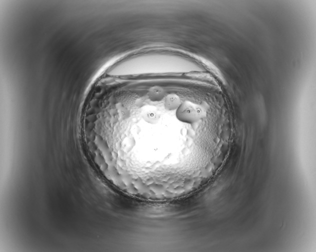 X0000086911279200704301030