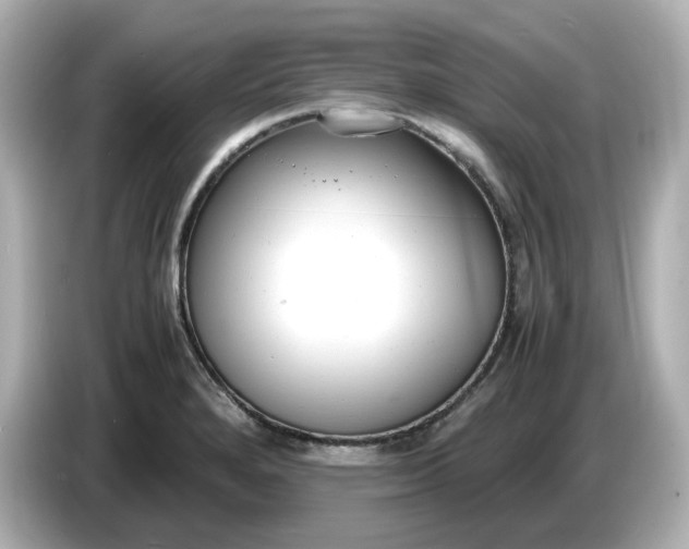 X0000086911280200704301030