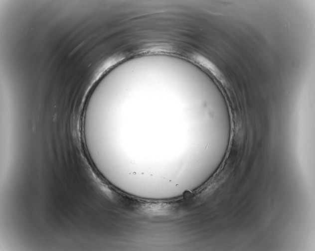 X0000086911282200704301030