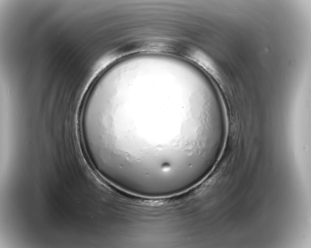 X0000086911283200704301030