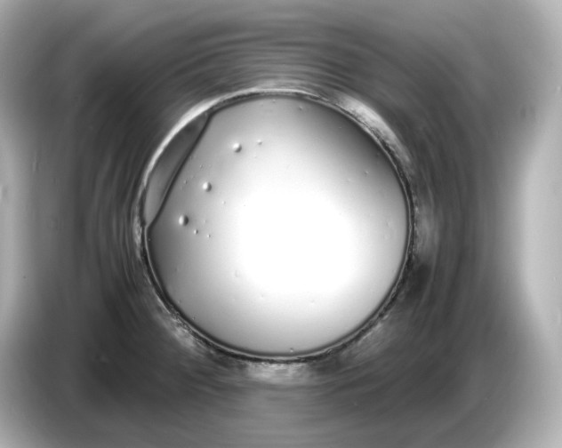 X0000086911284200704301029