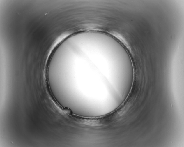 X0000086911285200704301029