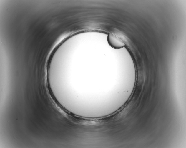 X0000086911286200704301029