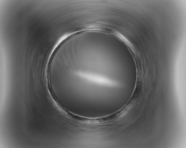 X0000086911291200704301029