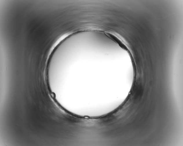 X0000086911293200704301029