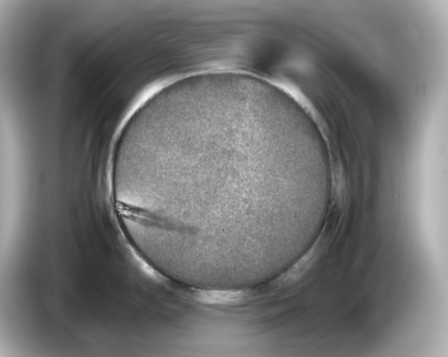 X0000086911294200704301029