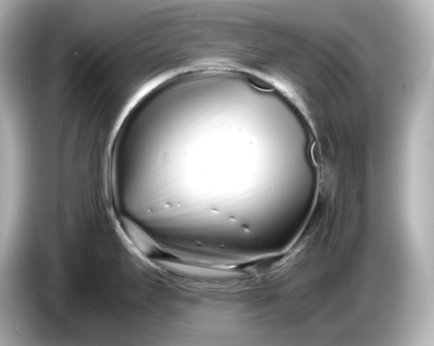 X0000086911295200704301029