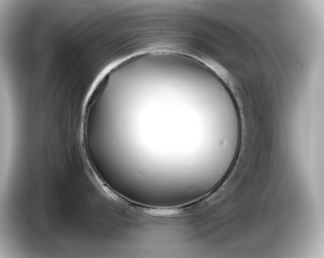 X0000086911296200704301029