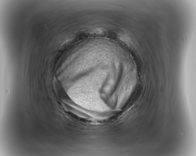 X0000086911297200704301029