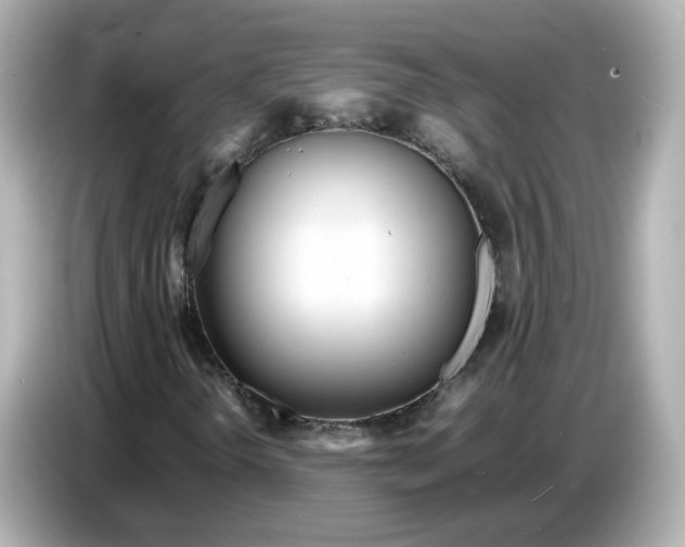 X0000086911298200704301029