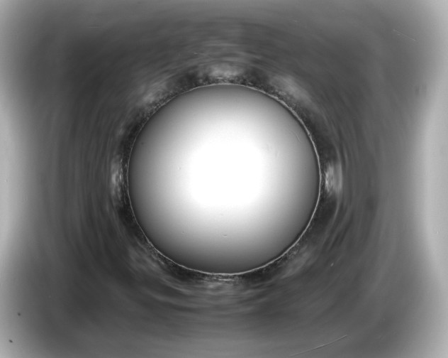 X0000086911299200704301029