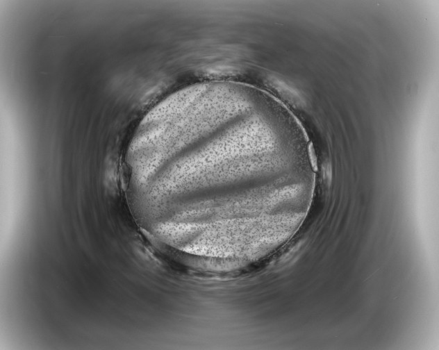 X0000086911300200704301029