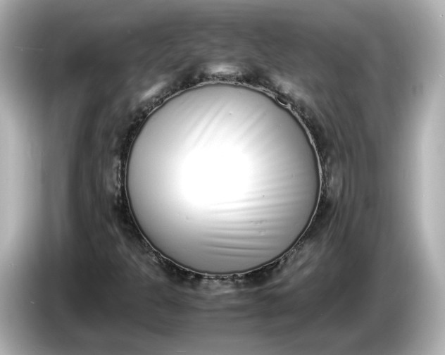 X0000086911301200704301029