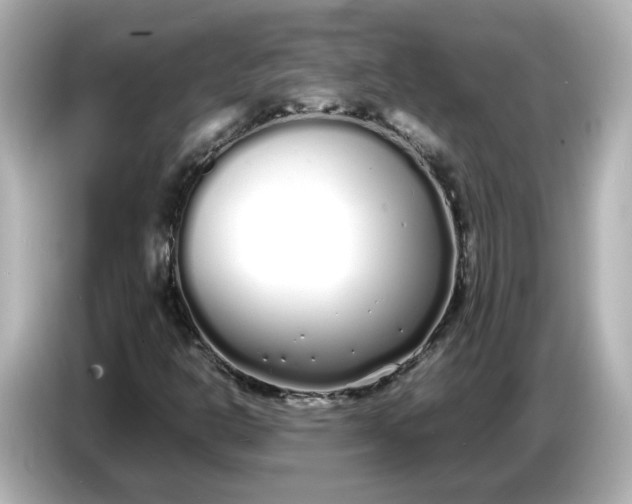 X0000086911302200704301029