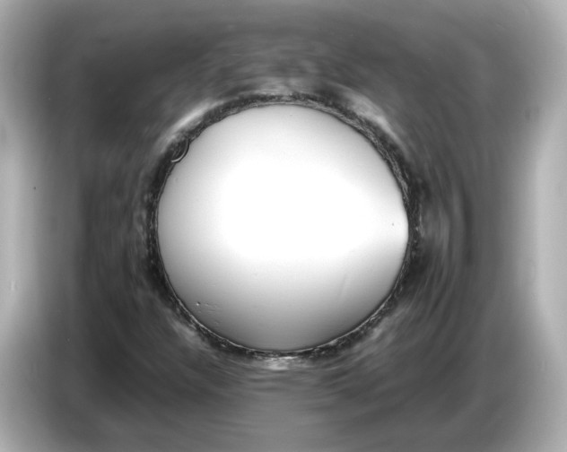 X0000086911304200704301029